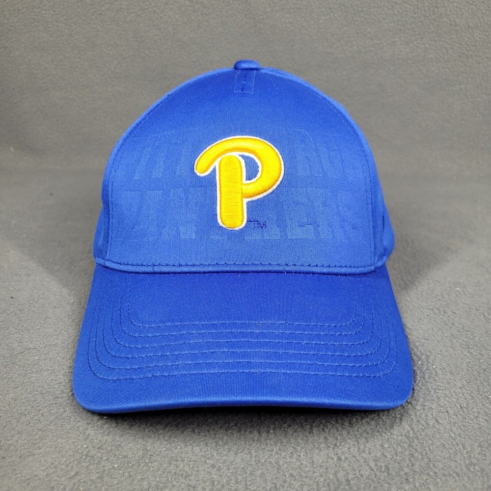 Pittsburgh Panthers Baseball Hat Blue Top of the‎ World Passion Snapback